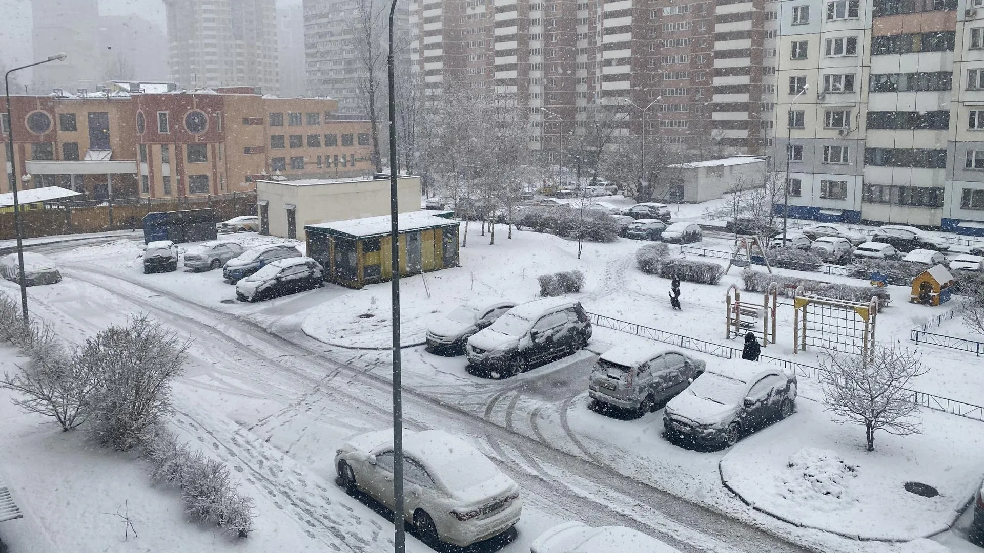Сильный снегопад прошел в Подмосковье