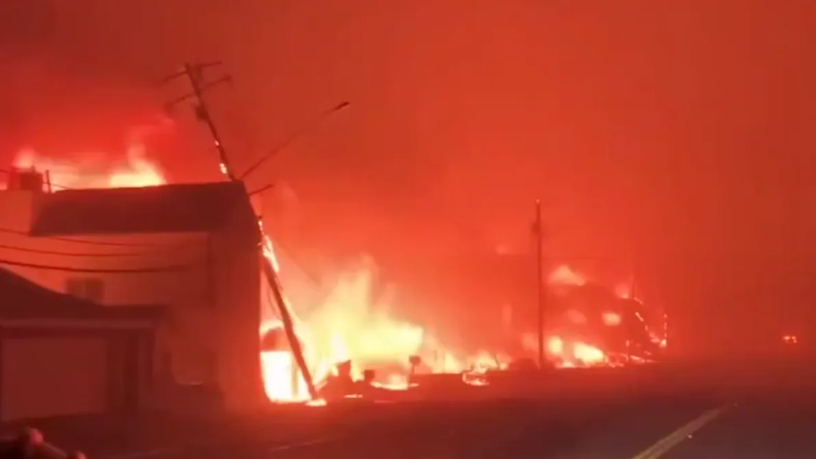 Знаменитости остались без крова: чьи дома уничтожили лесные пожары в Калифорнии
