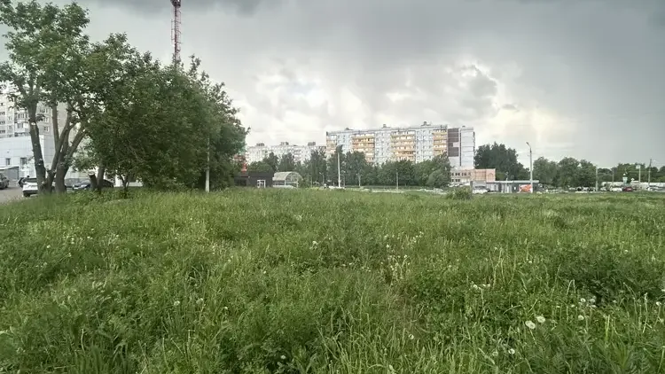 В Подмосковье за неделю выставили на торги 113 объектов