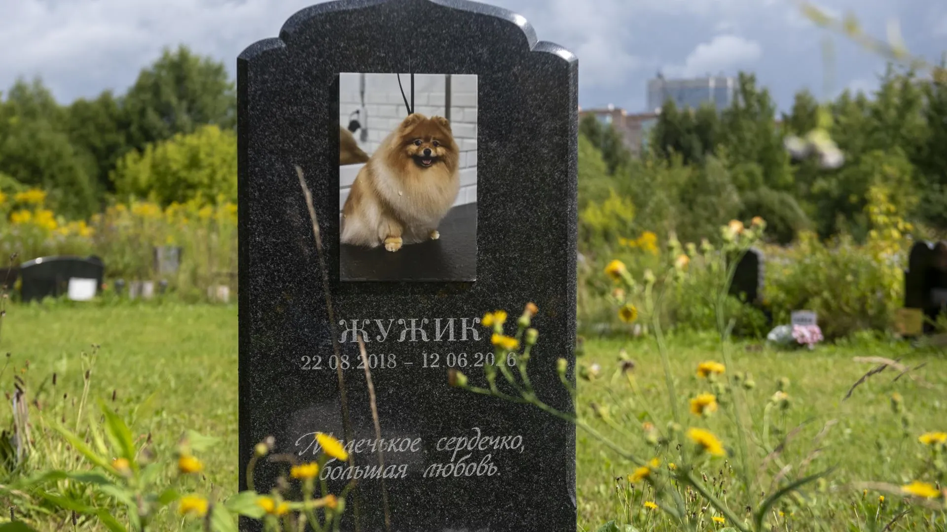 РИАМО, Сергей Дружинин