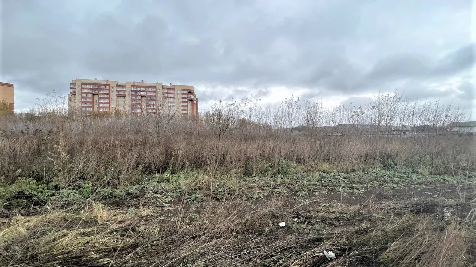 В Жуковском на торги выставлены три участка под строительство дома