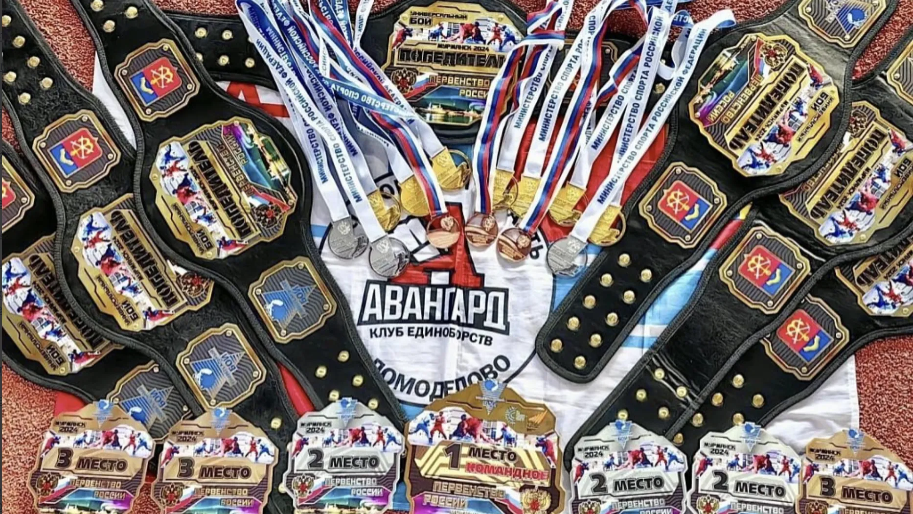 Спортсмены Домодедова стали победителями чемпионата России по универсальному бою
