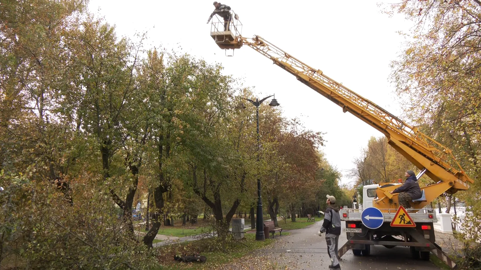 Яблоневую аллею на набережной в Дубне готовят к 70-летию наукограда