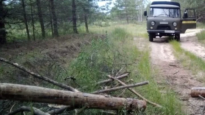 Подмосковные лесничие устранили завал на дороге в округе Луховицы