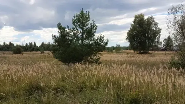 Земельный участок в аренду в Подмосковье