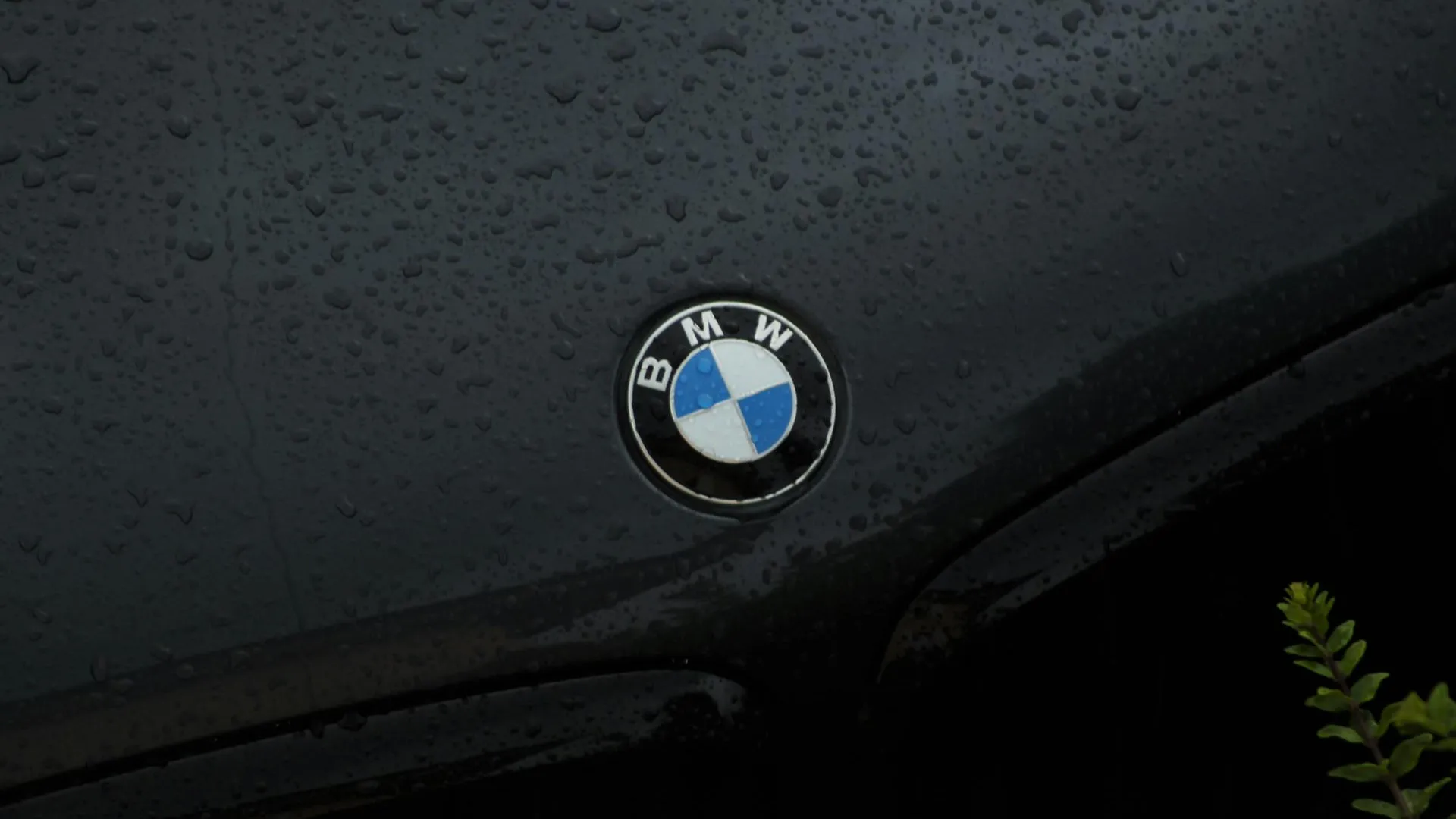 BMW полностью выгорел после столкновения с грузовиком в Подмосковье