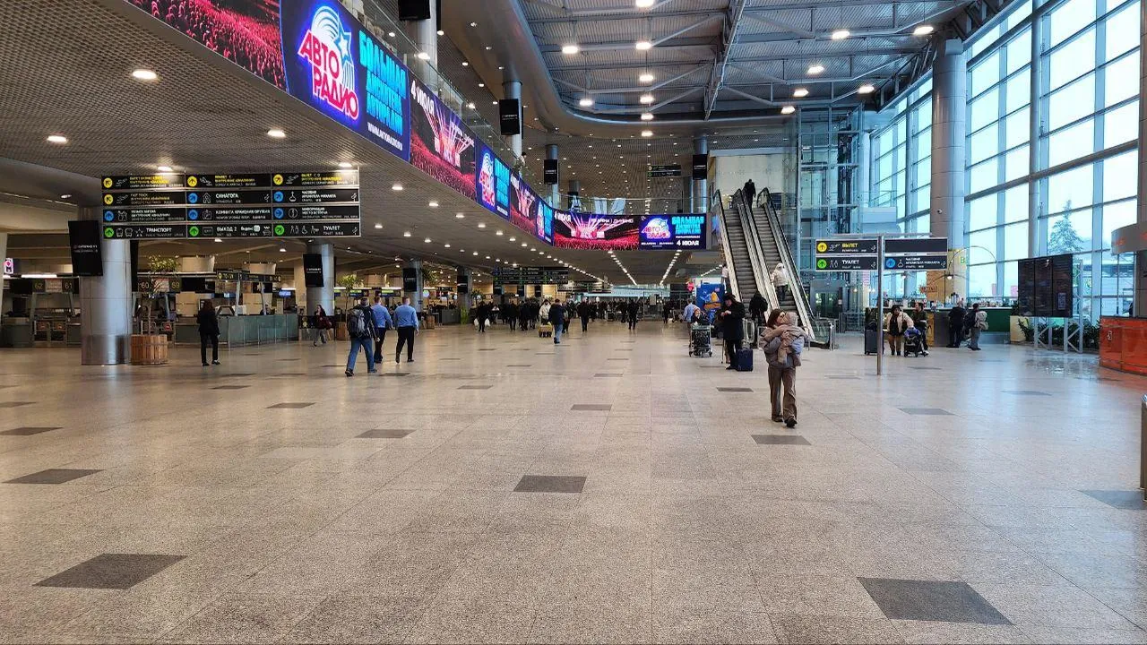 Аэропорт Домодедово работает в штатном режиме, несмотря на снегопад