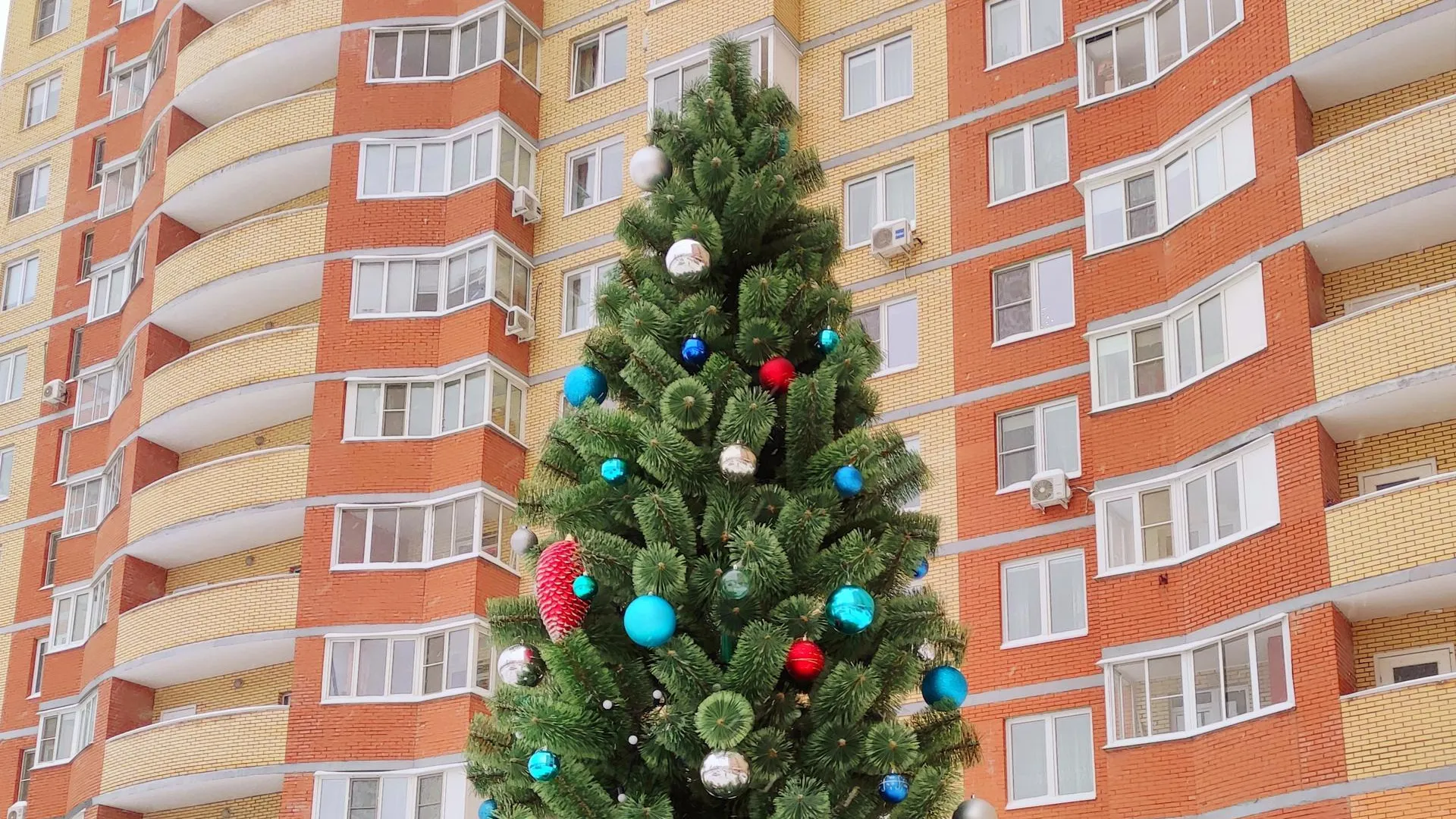 В Подмосковье завершается конкурс на самую ГУСТую и красивую елку