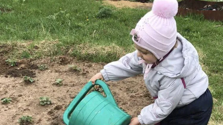 Свыше 1,7 тыс многодетных семей Подмосковья получили земельные участки в 2024 году