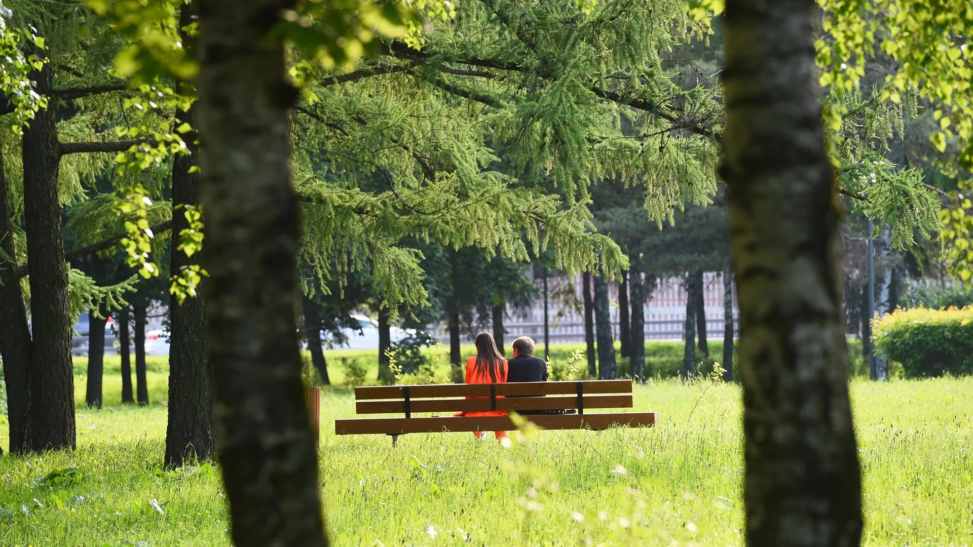 Июльская погода ожидается всю следующую неделю в Московском регионе