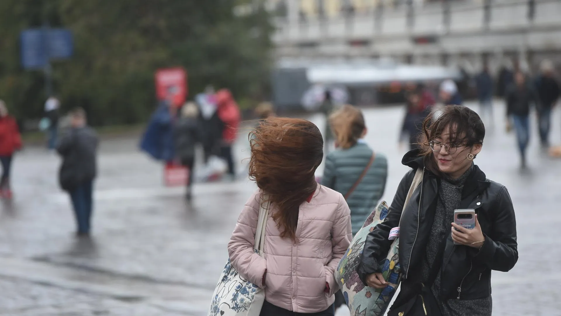 «Желтый» уровень опасности погоды из‑за ветра объявили в Московском регионе