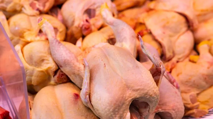 Эксперт объяснил, почему не стоит мыть курицу перед приготовлением