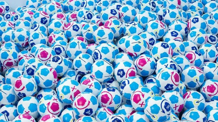 Футбольный инвентарь получит школа №54 поселка Октябрьский Люберец