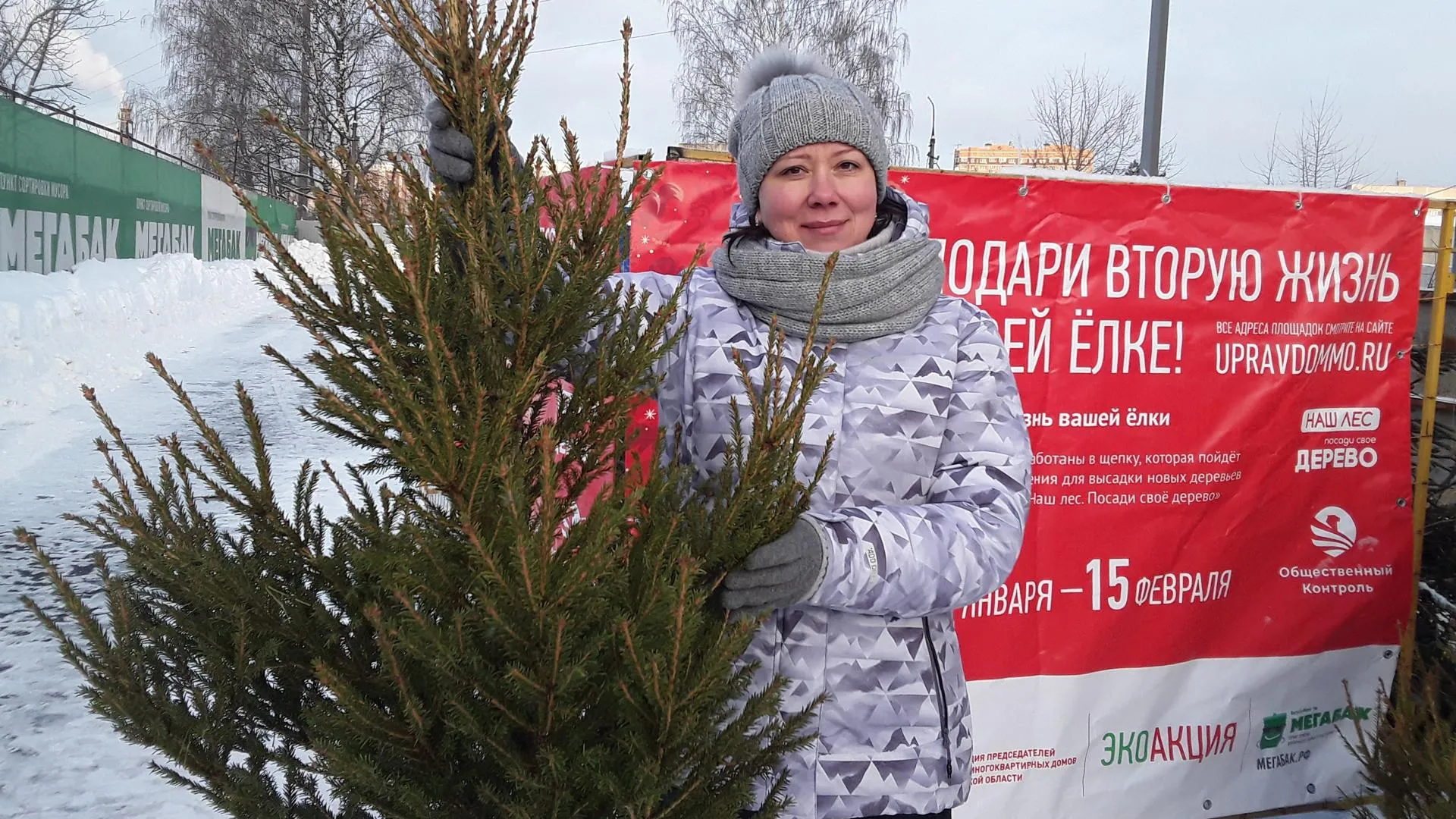 Ежегодная экоакция «Подари вторую жизнь своей елке!» начнется в Подмосковье 15 января