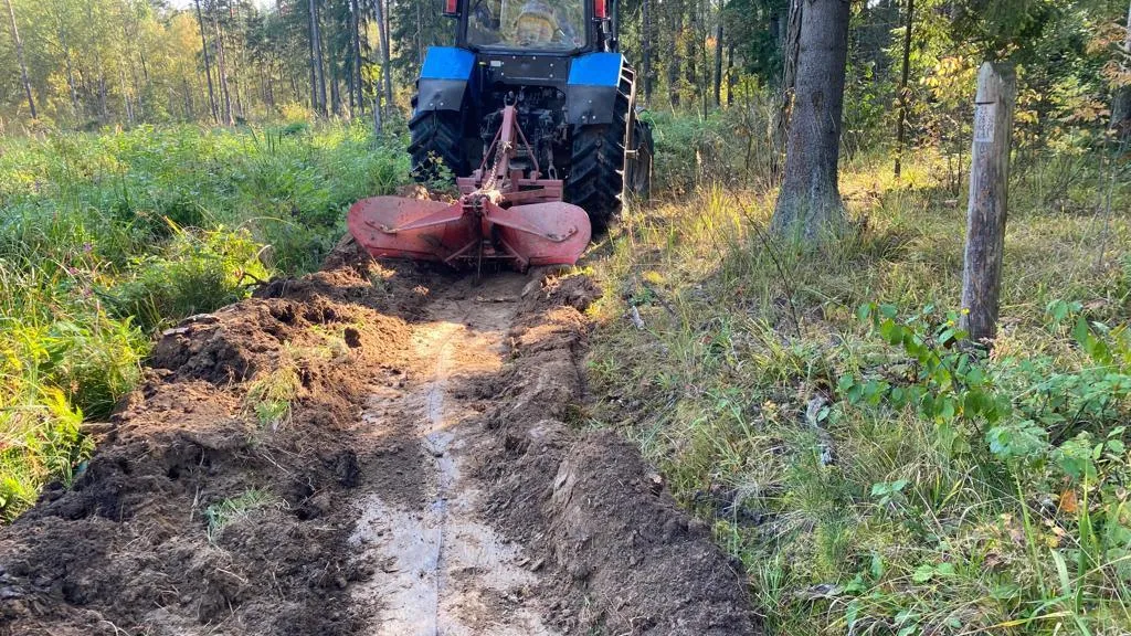 В лесах Подмосковья работы по прочистке минерализованных полос выполнены на 92%