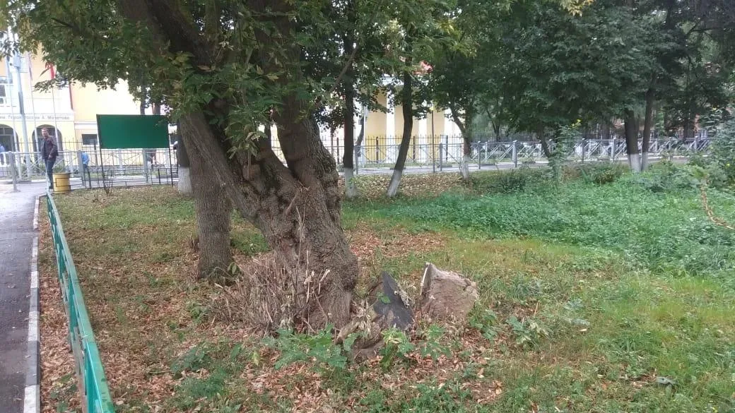 Строительный мусор убрали в поселке Дубровицы Подольска по инициативе активистов