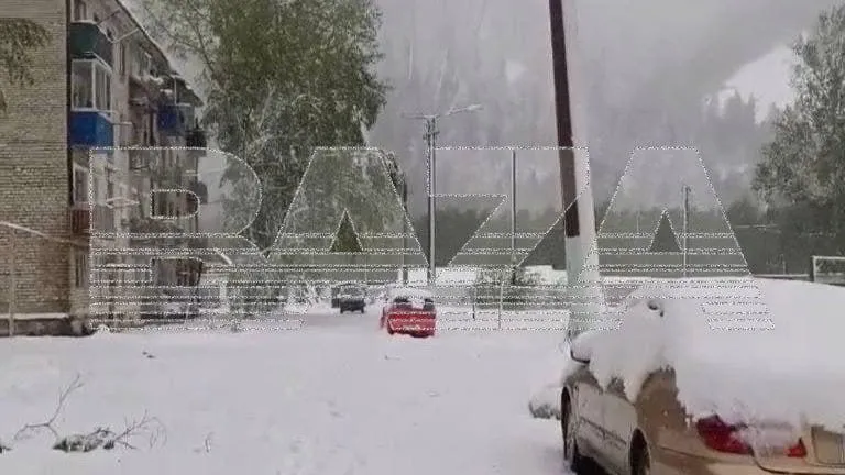 За два дня до лета в Хабаровский край вернулась зима с сильным снегопадом