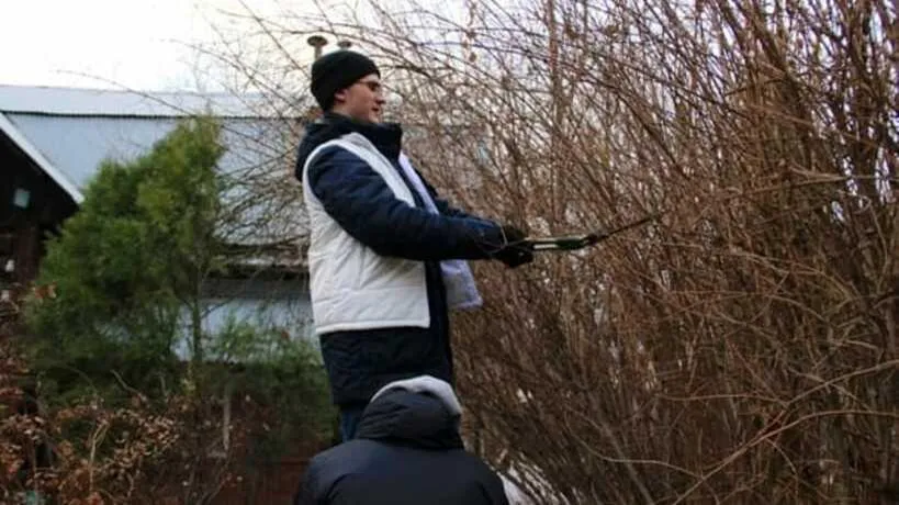 Ветерану ВОВ из Люберец помогли убраться на придомовом участке