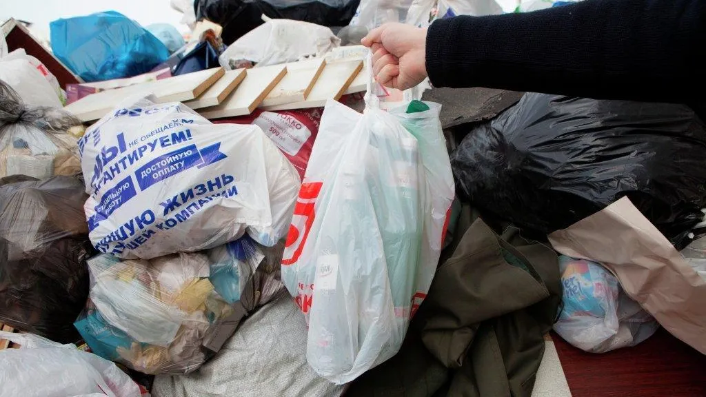 Все несанкционированные свалки в Подмосковье полностью ликвидируют до конца августа