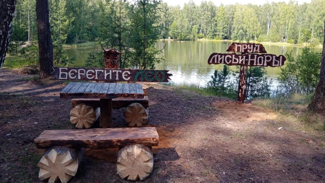 Новое место отдыха в лесу обустроили в Орехово-Зуеве