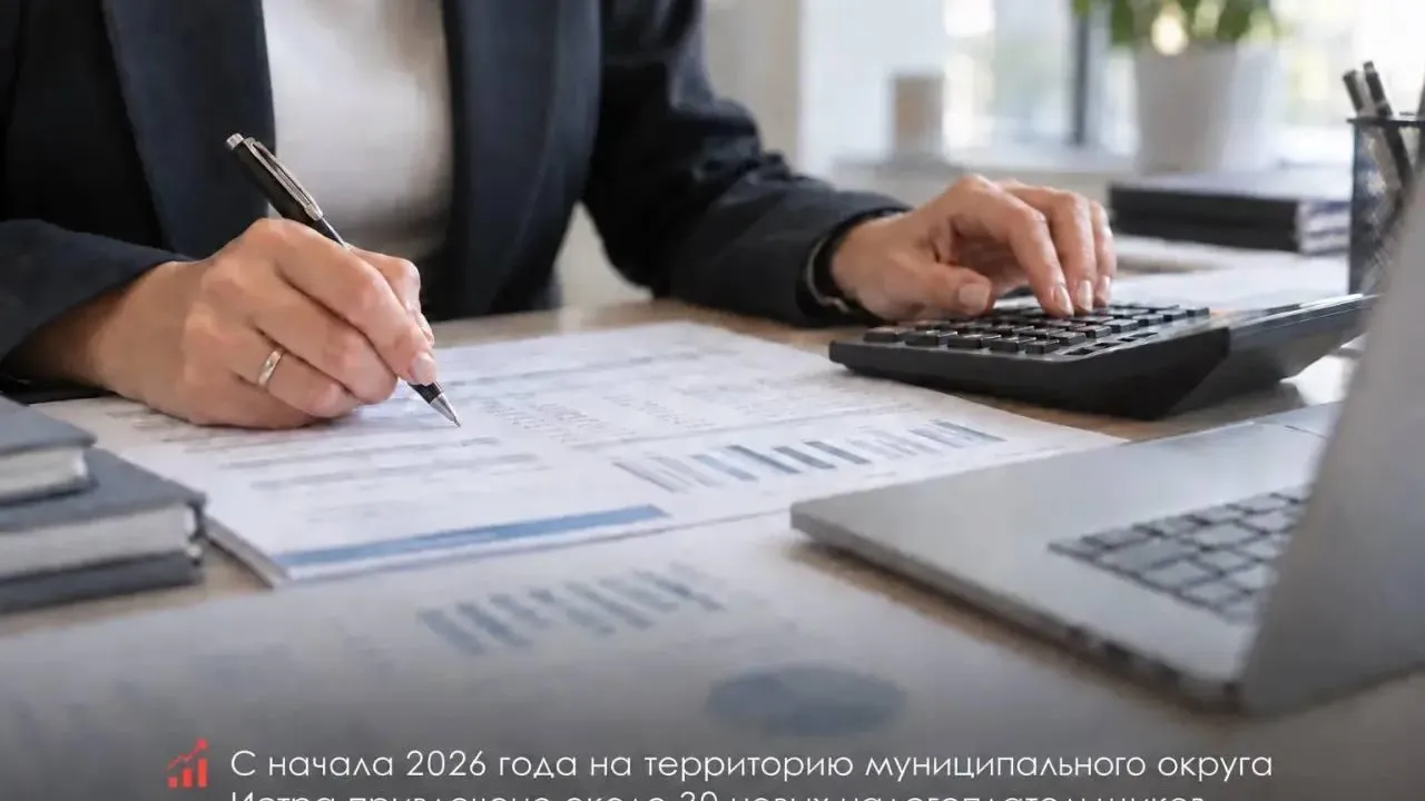 Около 30 компаний зарегистрировались в Истре с начала 2026 года