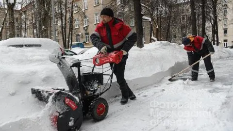 5,8 тыс территорий привели в порядок в Подмосковье за неделю