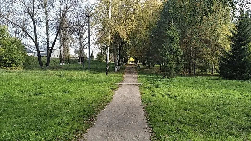 В Подмосковье определена самая протяженная тропа по программе «Пешком-2024»
