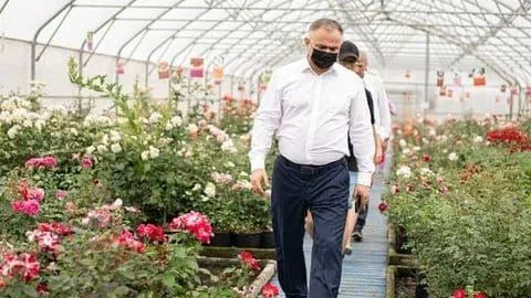 Ландшафтный парк площадью 4 га появится в питомнике «Русроза» в Солнечногорске