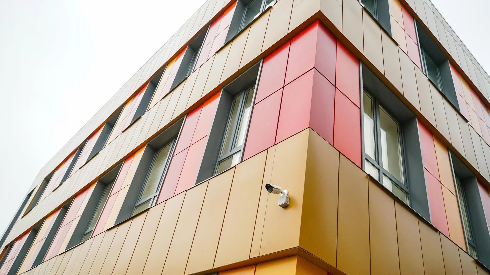 В Химках в детском саду «Радуга» приступили к благоустройству территории