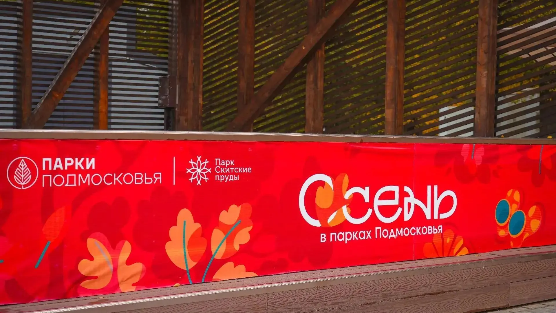 В Сергиевом Посаде открыли онлайн-бронирование площадок парка «Скитские пруды»