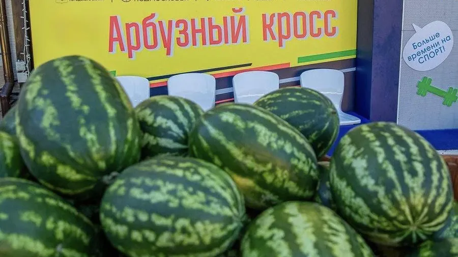 В Одинцове 6 сентября пройдут традиционные соревнования «Арбузный кросс»