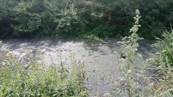 Нелегальный водопользователь в Богородском округе получил предостережение
