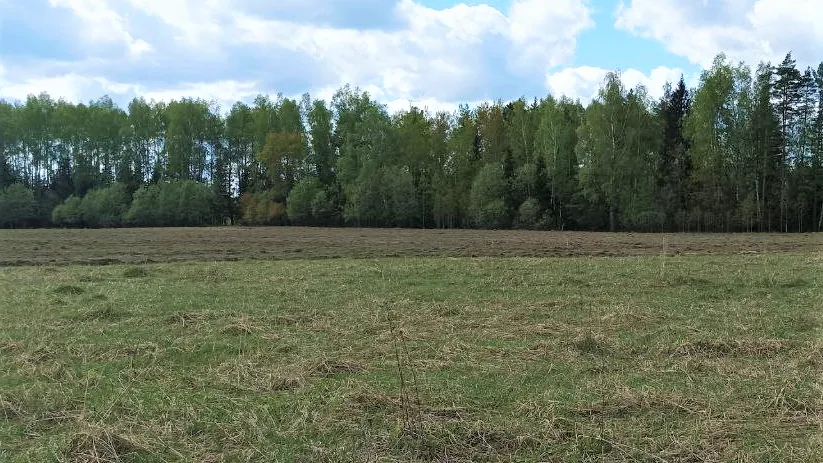 В округе Шатура на торги выставлено более 20 земельных участков