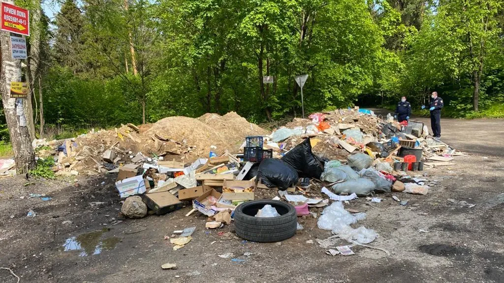 В Красногорске обнаружили 4 несанкционированные свалки мусора