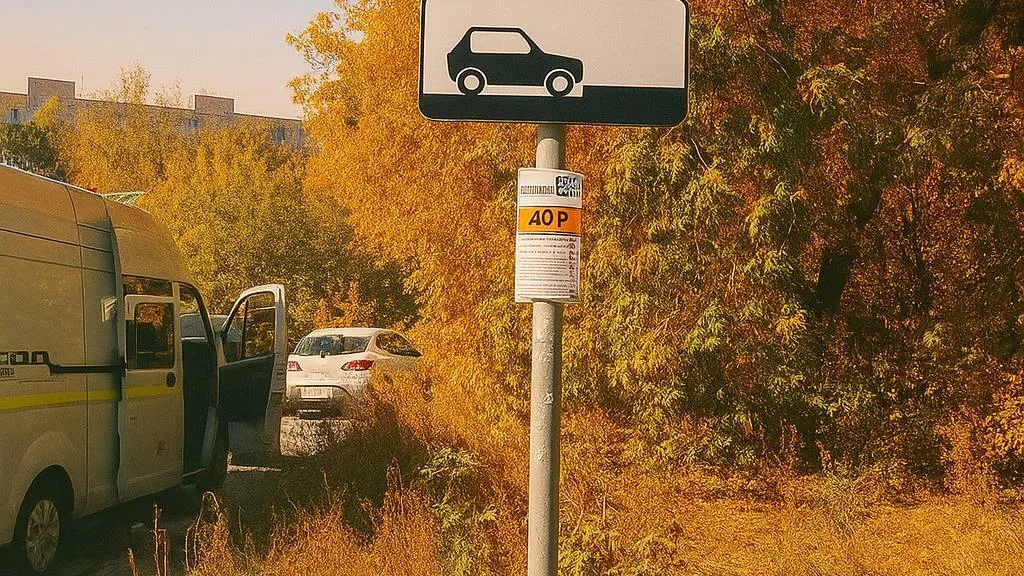 Платные парковки вводятся на отдельных участках дорог в Балашихе