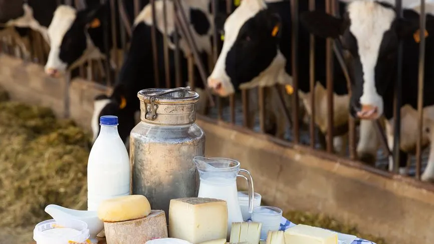 Термину «фермерский продукт» хотят ввести точное определение в России