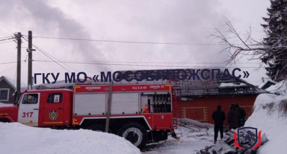 «Живы все 10»: каракалов и бенгальских кошек спасли на пожаре в Химках