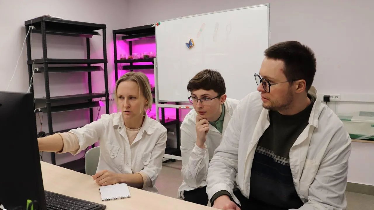 Школьник из Пущино обнаружил бактерию для борьбы с грибковыми заболеваниями растений