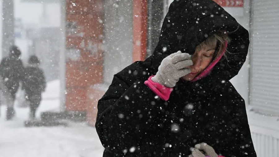Людей сдувает: Приморье накрыла мартовская метель — видео