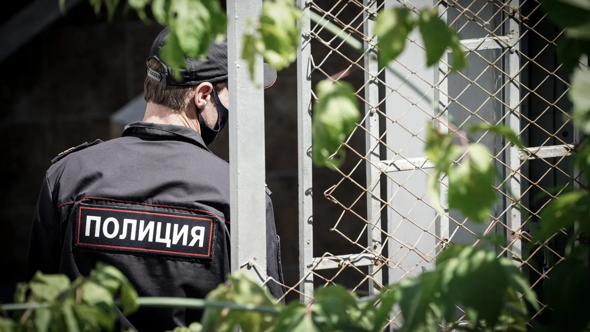 Металлическую сетку украли с дачного участка в поселке Талдомского округа