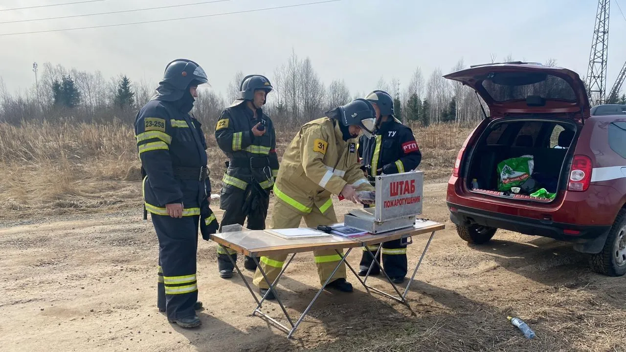 Огнеборцы Подольска успешно прошли учения по тушению лесных пожаров