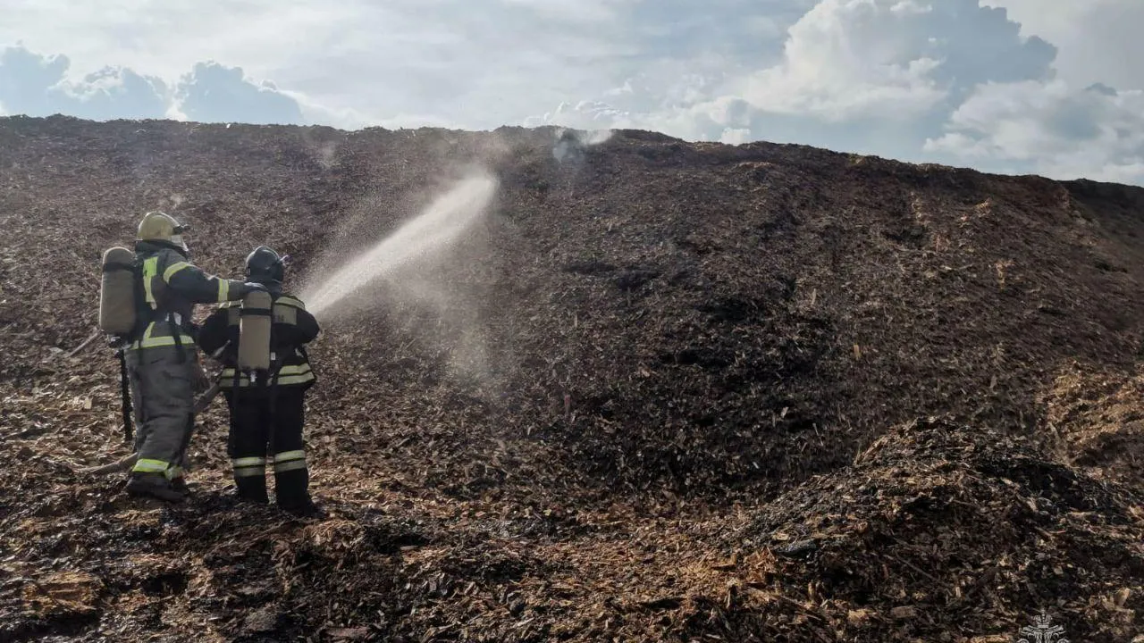Под Красноярском горит свалка отходов лесопиления площадью 6 тысяч «квадратов»