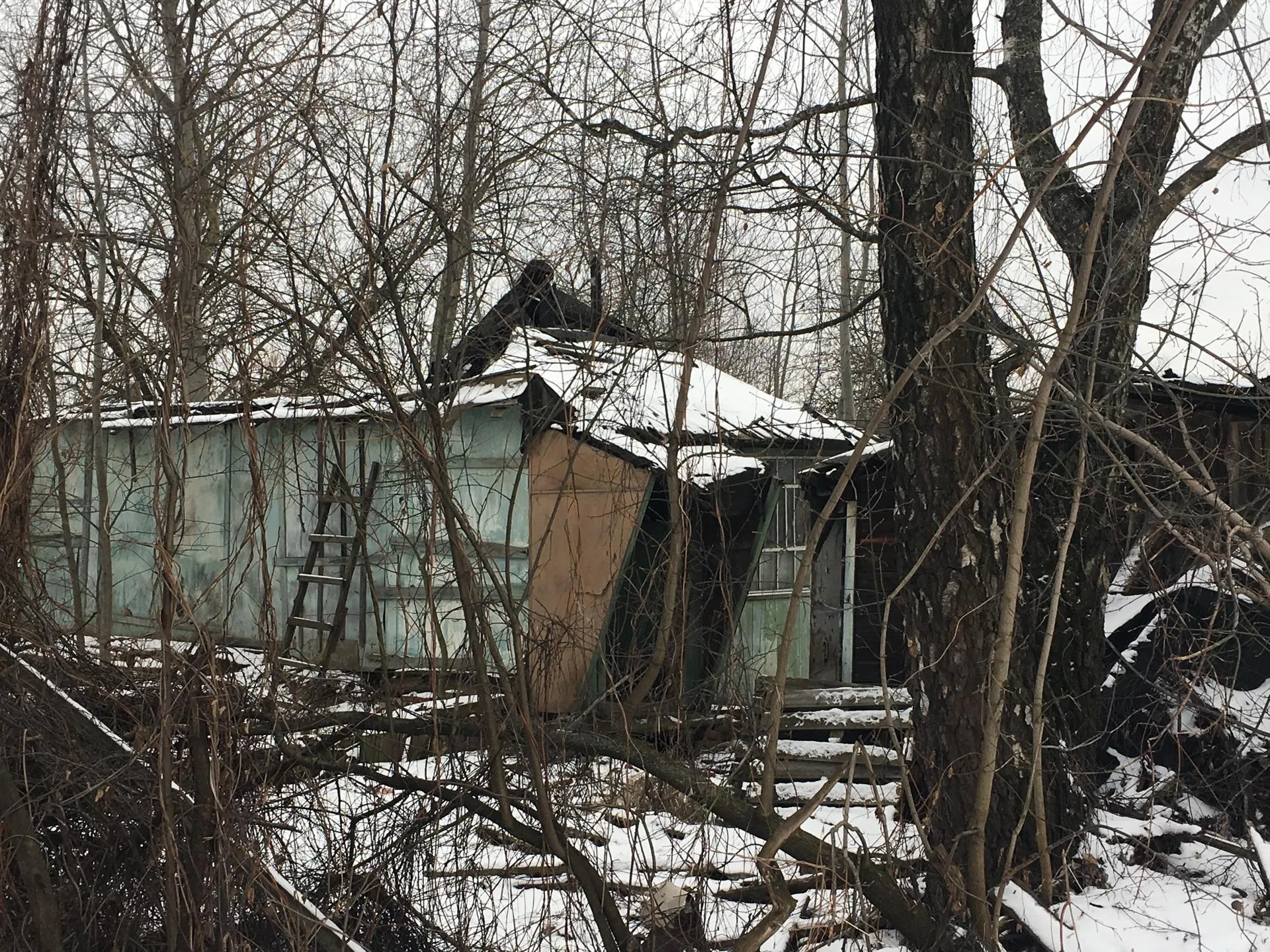 Ирина Лумпова