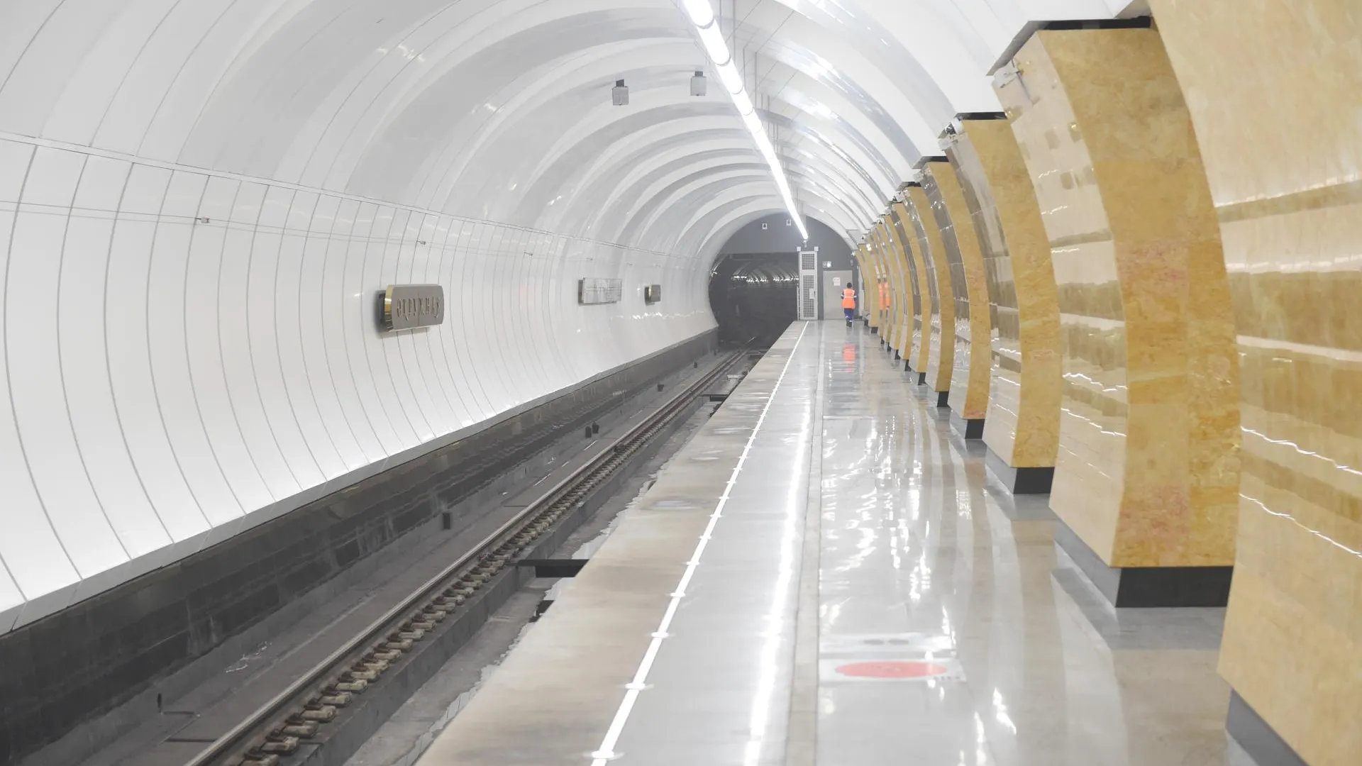 Власти Москвы назвали ключевые проекты развития транспортной сферы в 2019 году