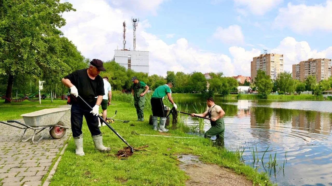 В Лобне начались работы по благоустройству пруда «Москвич»