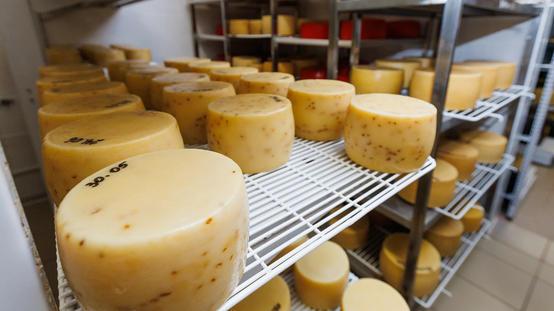 Россия стала экспортировать больше творога и сыра
