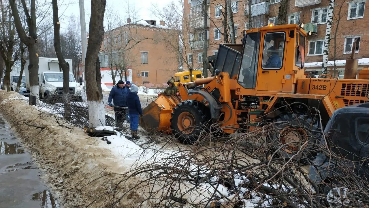 Подрядчик приступил к обрезке ветвей деревьев в микрорайоне Климовск Подольска