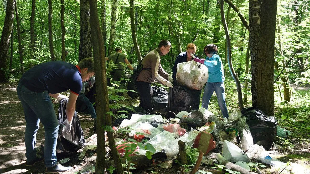 Порядка 350 кубометров мусора собрали на субботнике в лесопарках Балашихи