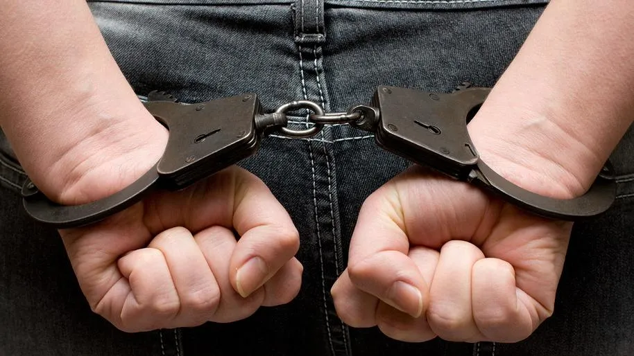 В Швейцарии арестовали воров, просивших выкуп 1 млн франков за болонок