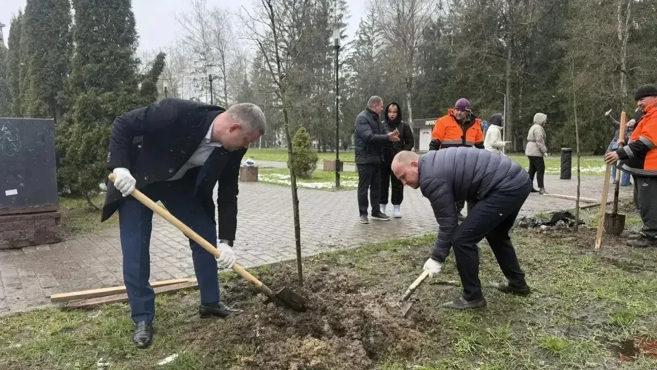 В Наро-Фоминском округе высадили аллею в память защитников